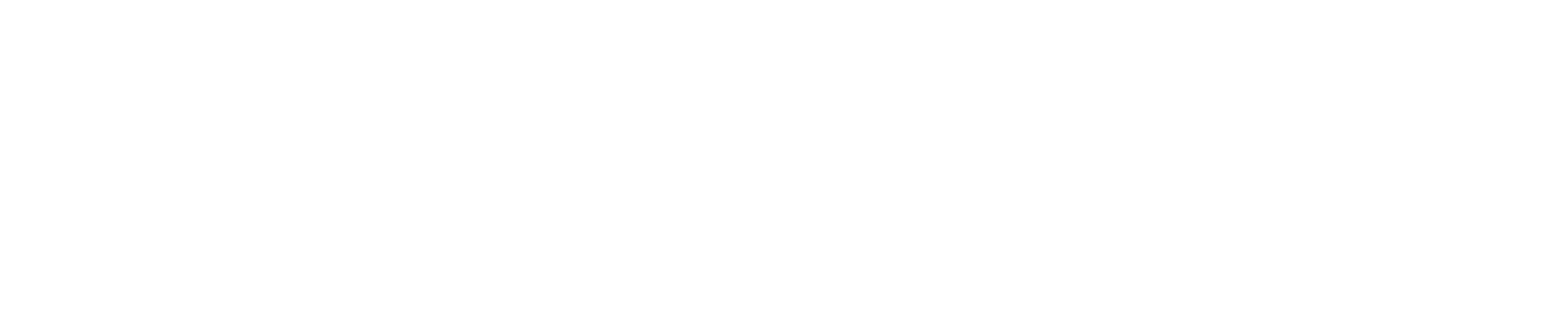 iBEEMS